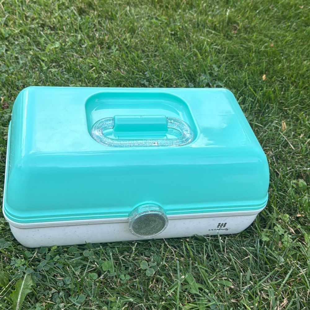 Caboodle carry case